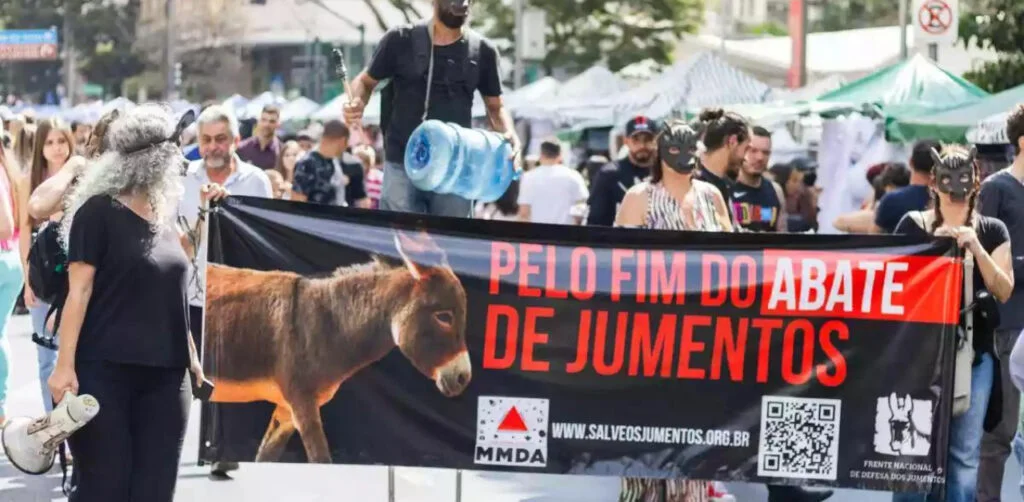 Frente Nacional pede o fim do abate de jumentos no Brasil