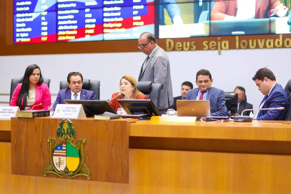 Iracema Vale destaca alta produtividade da Assembleia Legislativa em 2023