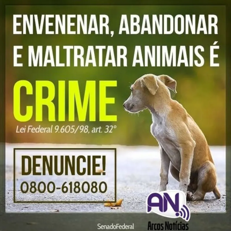 MP investiga mortes de animais por envenenamento em São Luís