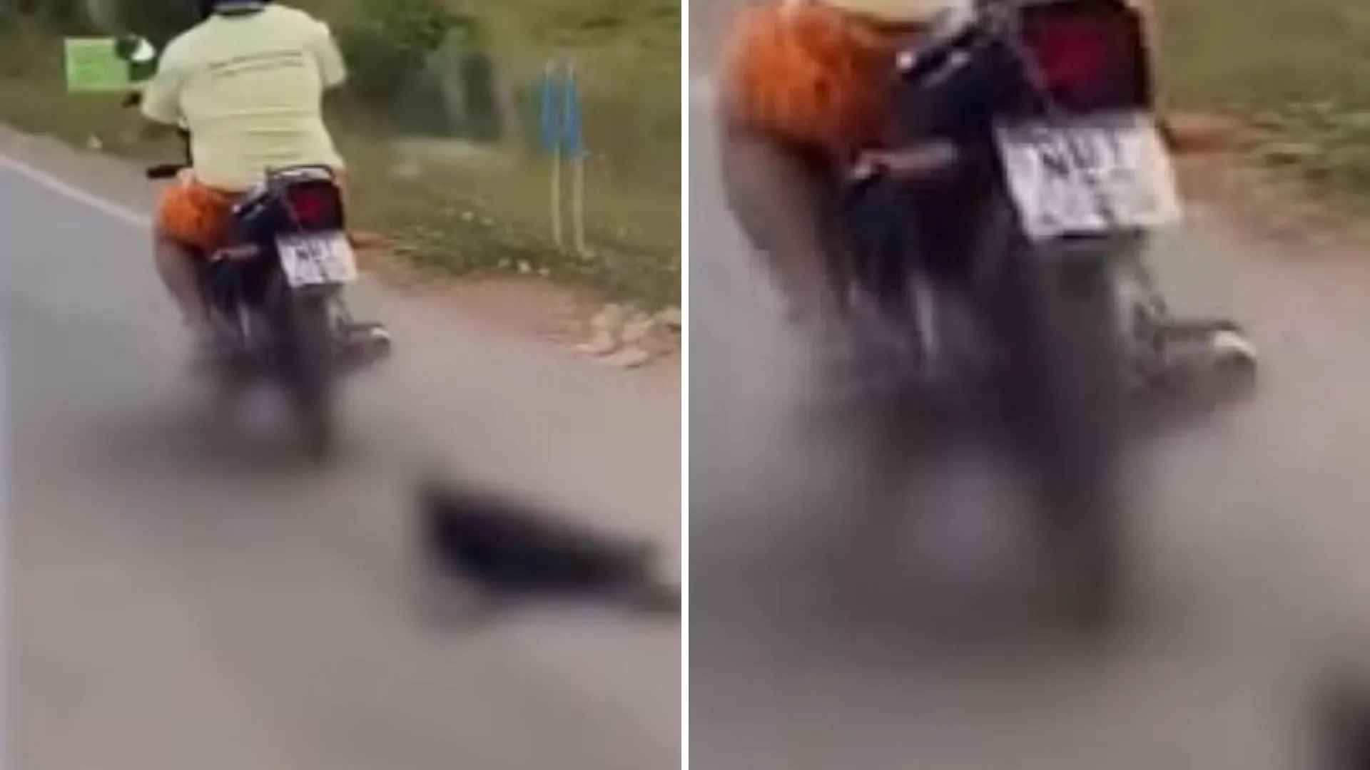 Homem é preso em Lago da Pedra após arrastar cachorro amarrado em motocicleta