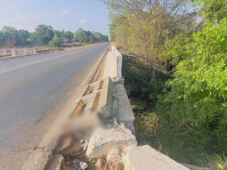 Motociclista morre após colidir com mureta em ponte na BR-135